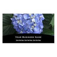 Hydrangeas Business Card