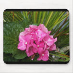 Hydrangeas by the Pond Mouse Pad