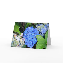 Hydrangeas cards