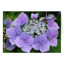 Hydrangeas cards
