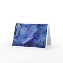 Hydrangeas Card