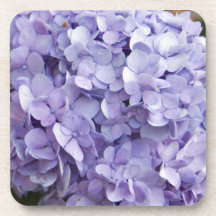 Hydrangeas Drink Coasters