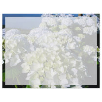 Hydrangeas Custom Flyer