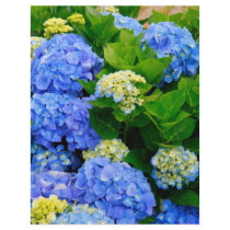 Hydrangeas Flyers