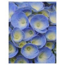 Hydrangeas flyers by gavila_pt Hydrangeas flyers