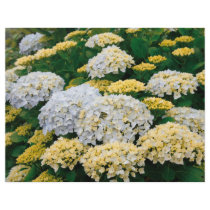 Hydrangeas Personalized Flyer