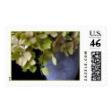 Hydrangeas in a vase postage by deegolden Hydrangeas in a vase postage