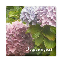 Hydrangeas magnets
