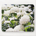 Hydrangeas mousepads