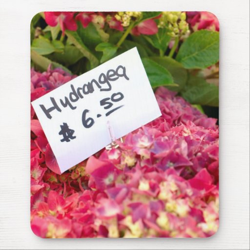 Hydrangeas Mousepad