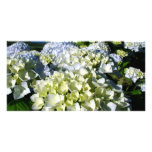 Hydrangeas Custom Photo Card