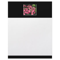 Hydrangeas. Pink Flowers on Black. Custom Letterhead
