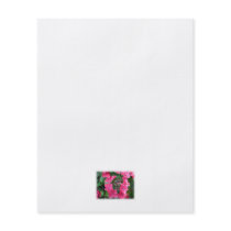 Hydrangeas. Pink Flowers. White. Custom Flyer