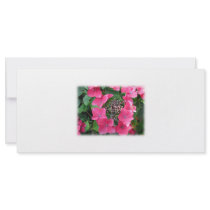 Hydrangeas. Pink Flowers. White. Rack Cards