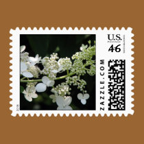 Hydrangeas postage