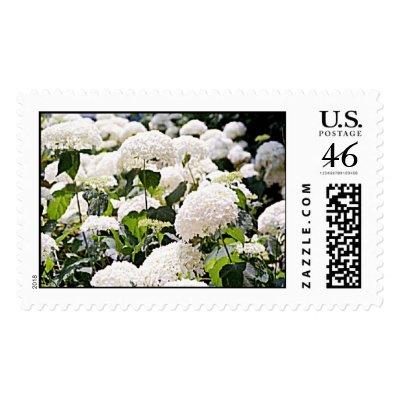 Hydrangeas Postage Stamp by gtk88594