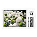 Hydrangeas postage
