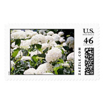 Hydrangeas postage by gtk88594 Hydrangeas postage