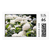 Hydrangeas Postage Stamp