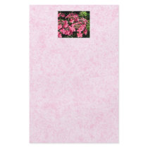 Hydrangeas. Pretty Pink Flowers. Flyers