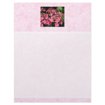 Hydrangeas. Pretty Pink Flowers. Personalized Letterhead