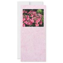 Hydrangeas. Pretty Pink Flowers. Rack Card