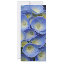 Hydrangeas rack cards