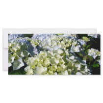 Hydrangeas Rack Card Template
