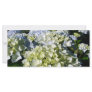 Hydrangeas Rack Card Template