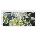 Hydrangeas Rack Card Template