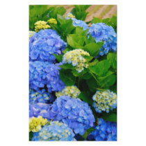 Hydrangeas stationery by gavila_pt Hydrangeas stationery