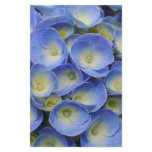 Hydrangeas Customized Stationery