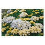 Hydrangeas Stationery