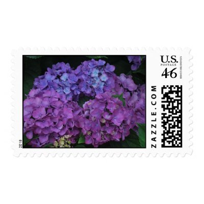 Hydrangeas U.S. Postage Stamp