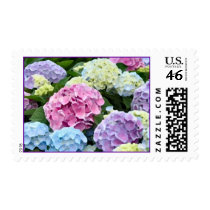 Hydrangeas Watercolor Postage Stamp