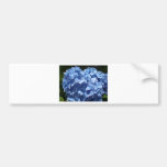 Hydranger 1 - at The Cleeve in Exmoor Bumper Stickers