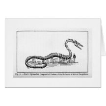 Hydrarchus art card