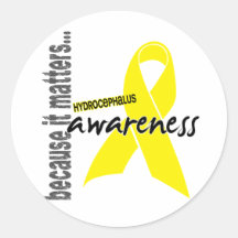 Hydrocephalus Awareness Round Stickers