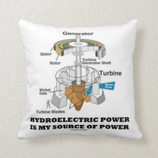 Hydroelectric Power Is My Source Of Power Throw Pillow