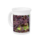 Hydroponic lettuce leaves beverage pitcher