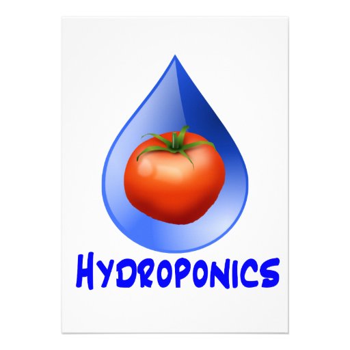 Hydroponic Tomato water drop design logo Invitations
