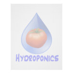 Hydroponic Tomato water drop design logo Letterhead