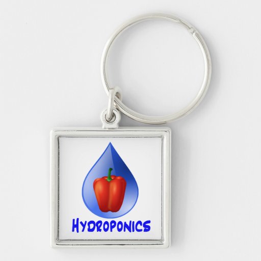 Hydroponics graphic, hydroponic pepper &amp; drop keychain ...