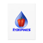 Hydroponics graphic, hydroponic pepper & drop post cards