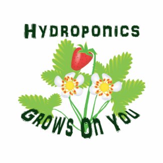 Hydroponics Grows On You Strawberries Photo Cutout