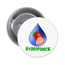 Hydroponics, strawberries, green text, blue drop pinback buttons