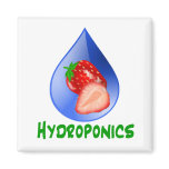 Hydroponics, strawberries, green text, blue drop refrigerator magnets Hydroponics, strawberries, green text, blue drop refrigerator magnets