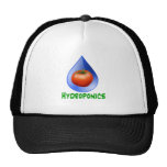 Hydroponics-Tomato, Green Text, Blue drop Hats