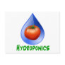 Hydroponics-Tomato, Green Text, Blue drop Post Cards
