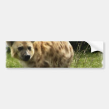 Hyena Bumper Sticker
